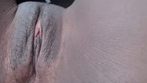 pixel online show from November 27, 2025, 6:43 pm