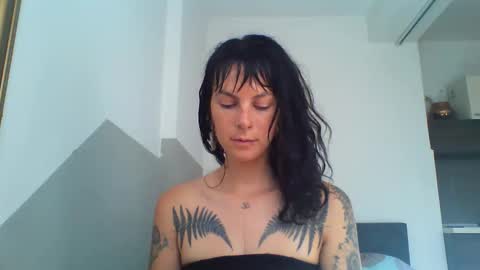 Snapshot of pixiecatfairy chatting on October 25, 2025, 8:33 am pixiecatfairy online show from October 25, 2025, 8:33 am