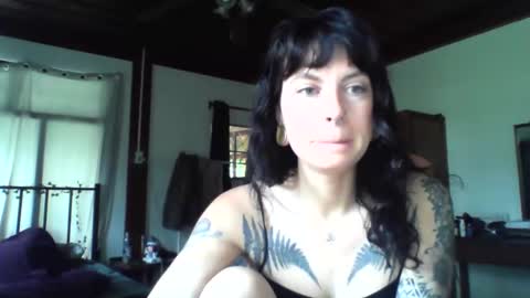 Snapshot of pixiecatfairy chatting on November 19, 2025, 3:17 am pixiecatfairy online show from November 19, 2025, 3:17 am