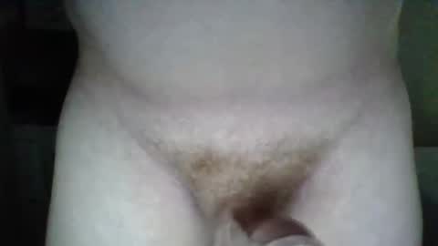 Snapshot of platipus_5 chatting on October 21, 2025, 11:33 am platipus_5 online show from October 21, 2025, 11:33 am