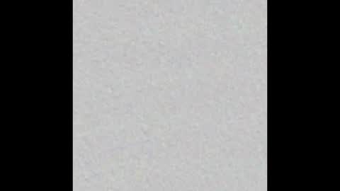 playtoy1969 online show from February 20, 2025, 11:31 am