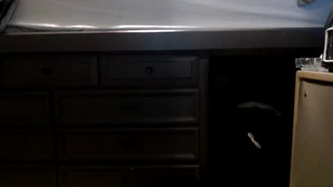 pleasantdinosaurus7537 online show from November 17, 2025, 1:00 am