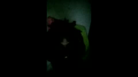 pledges000 online show from March 6, 2026, 2:35 pm