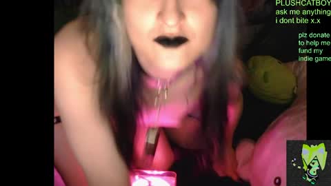 plushcatboy online show from April 7, 2026, 4:24 am