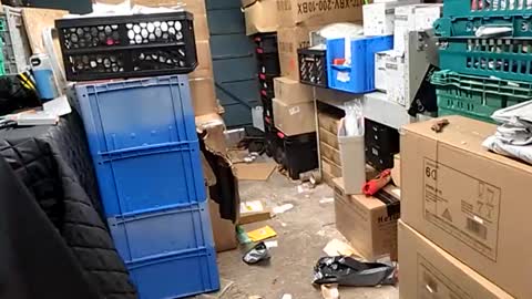 po13o online show from October 29, 2025, 10:17 am