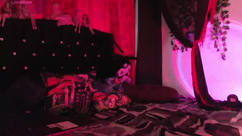 Snapshot of poison__luna chatting on February 15, 2026, 12:47 pm Luna online show from February 15, 2026, 12:47 pm