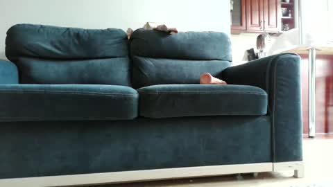 pokusss online show from January 15, 2026, 1:05 pm