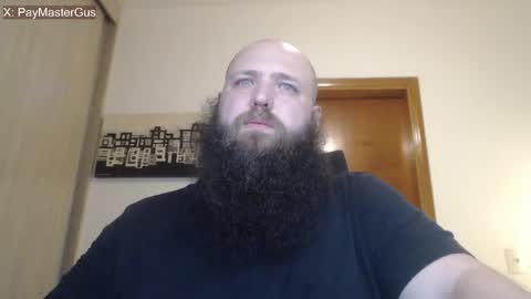 Bear online show from April 2, 2026, 11:46 pm