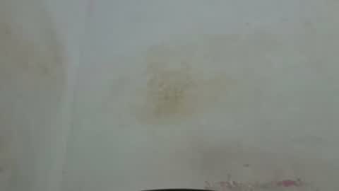 poli online show from April 4, 2026, 1:59 am