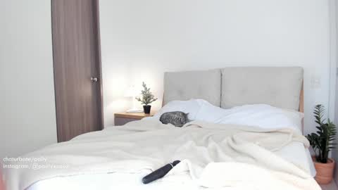 Polly online show from January 4, 2025, 9:31 pm