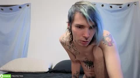 Snapshot of polyhouseofgays chatting on November 18, 2025, 8:08 am Cheshire Bee online show from November 18, 2025, 8:08 am