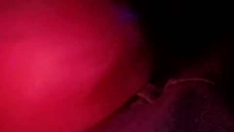 porkchop696974 online show from February 20, 2026, 6:59 am