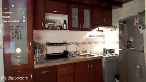 Snapshot of posigore chatting on January 3, 2025, 10:19 pm Anna Goth independient model online show from January 3, 2025, 10:19 pm