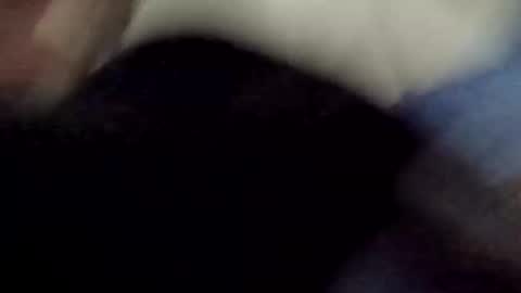 PipeLayerPlayer007 online show from April 8, 2026, 4:34 am