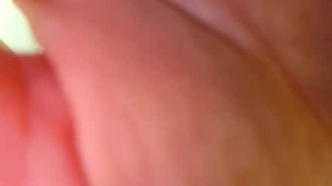 Snapshot of powermute22 chatting on February 26, 2026, 10:14 am Big Dick online show from February 26, 2026, 10:14 am