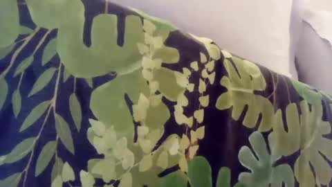 Snapshot of pretty_boy_jack chatting on January 8, 2025, 1:00 am pretty_boy_jack online show from January 8, 2025, 1:00 am