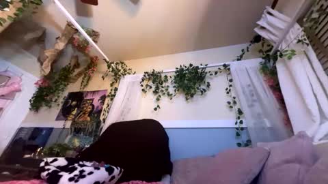 Snapshot of prettyblackgal chatting on November 27, 2025, 7:43 am prettyblackgal online show from November 27, 2025, 7:43 am