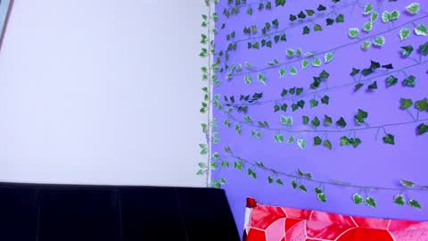 Snapshot of prettybunnies08 chatting on January 28, 2025, 4:50 am Enzo Denis online show from January 28, 2025, 4:50 am