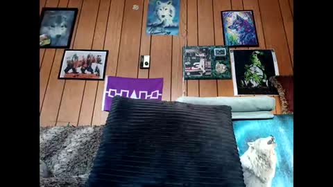 prettysolid7 online show from February 6, 2026, 2:09 pm