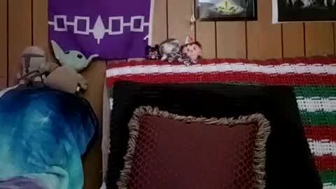 Snapshot of prettysolidd7 chatting on January 4, 2025, 6:09 am prettysolidd7 online show from January 4, 2025, 6:09 am