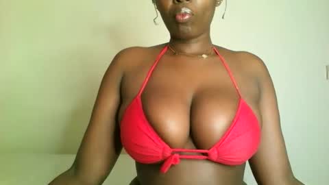 Snapshot of prettyvishy chatting on November 15, 2025, 2:20 am prettyvishy online show from November 15, 2025, 2:20 am