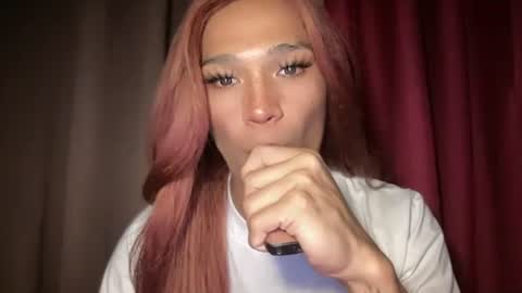 Snapshot of pricelessbeautyxxx chatting on February 3, 2026, 3:17 pm TINA online show from February 3, 2026, 3:17 pm