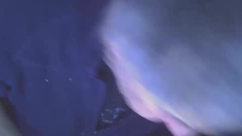 projectorepson online show from January 11, 2026, 7:35 am