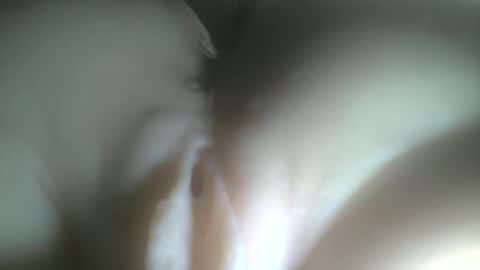 needtocum online show from February 3, 2026, 12:42 am