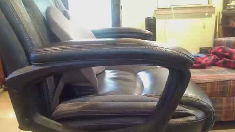 pulltoy1 online show from April 21, 2026, 3:17 pm