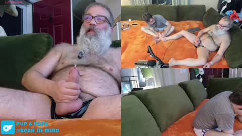 Snapshot of pupnpapa chatting on May 23, 2026, 1:44 am Pup And Papa bear online show from May 23, 2026, 1:44 am