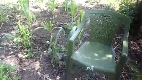 Snapshot of purebae chatting on November 12, 2025, 8:59 am purebae online show from November 12, 2025, 8:59 am