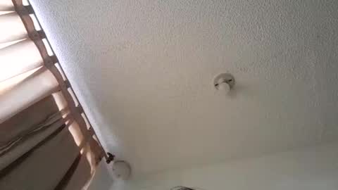 pussy_happy0 online show from December 3, 2024, 7:55 pm