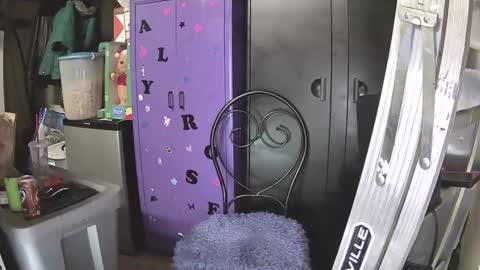 Snapshot of pussy_licker0127 chatting on December 7, 2024, 10:23 am Mark online show from December 7, 2024, 10:23 am