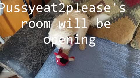 Rick online show from February 8, 2025, 10:29 am