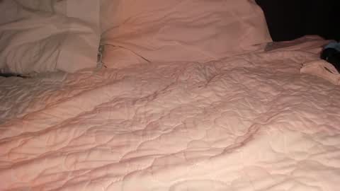 Snapshot of pvssi_ chatting on January 26, 2025, 4:41 am Sophy online show from January 26, 2025, 4:41 am