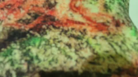 Snapshot of pvssi_ chatting on February 16, 2025, 2:31 am Sophy online show from February 16, 2025, 2:31 am