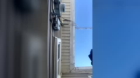 pyrex8 online show from February 10, 2026, 2:32 pm