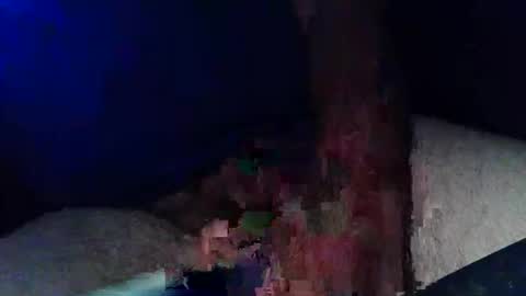 pyrichar31 online show from November 4, 2025, 1:05 am