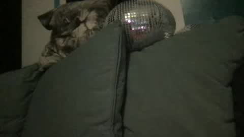 Snapshot of queendelaranch chatting on September 20, 2025, 7:04 pm Queen De La Ranch online show from September 20, 2025, 7:04 pm