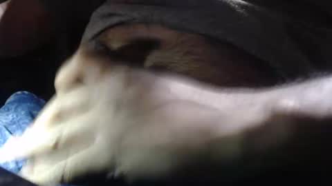 oilypanda online show from December 16, 2024, 11:28 pm