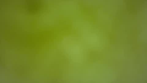 quinnxx online show from February 22, 2026, 6:35 am