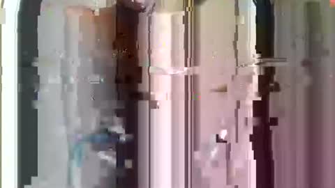 r04233054 online show from November 29, 2025, 8:50 am