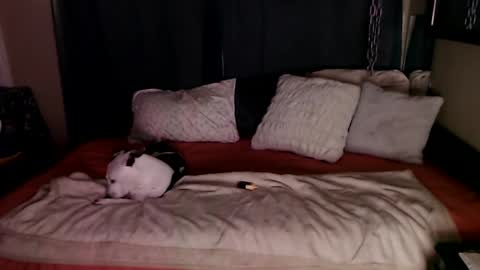 Snapshot of ramonaquinn chatting on December 20, 2024, 8:49 am RAMONA Q online show from December 20, 2024, 8:49 am