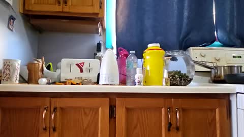 Randcandy77 online show from November 14, 2025, 7:45 pm