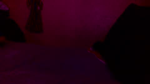 randobad12 online show from January 18, 2025, 10:06 pm