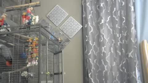 Randy8inbater online show from December 1, 2024, 9:26 pm