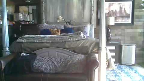 Randy8inbater online show from January 18, 2026, 8:12 pm