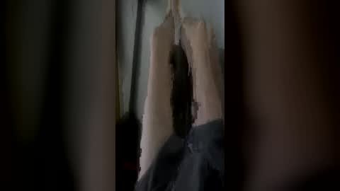 randycouple666 online show from June 28, 2026, 9:43 pm