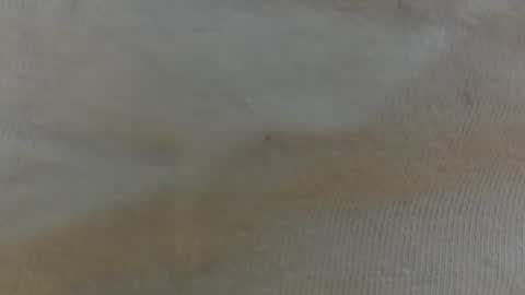 Snapshot of randytoy chatting on June 29, 2026, 5:03 am randytoy online show from June 29, 2026, 5:03 am