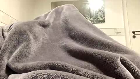 ranj00800 online show from December 18, 2025, 5:19 pm